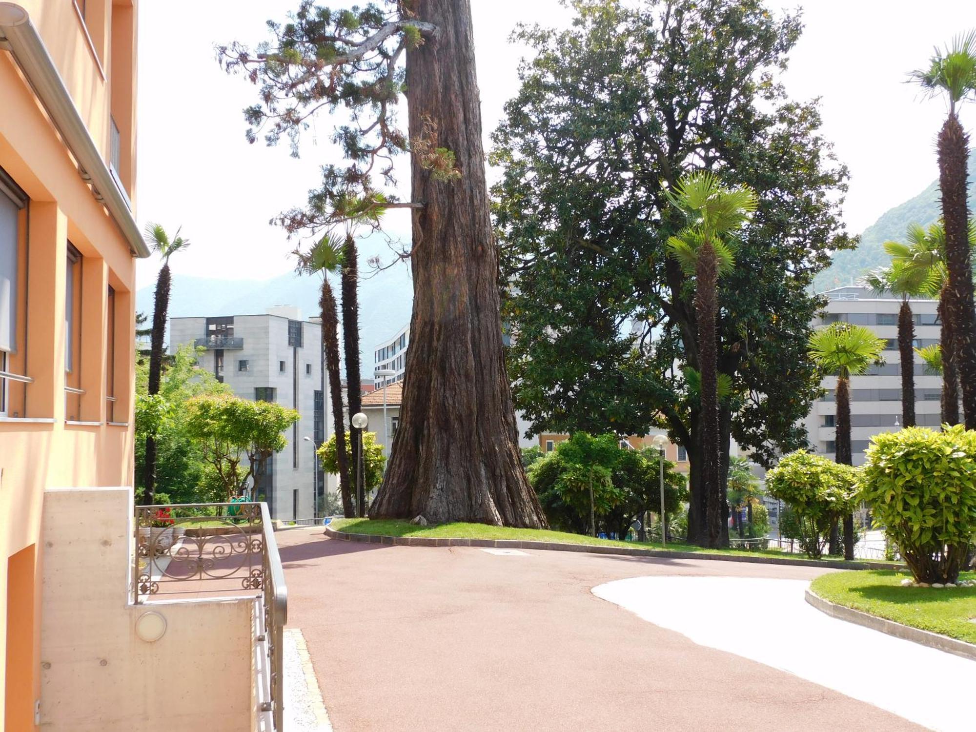 Casa Santa Birgitta Otel Lugano Dış mekan fotoğraf