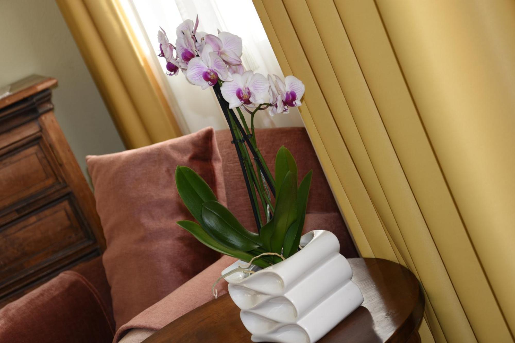 Casa Santa Birgitta Otel Lugano Dış mekan fotoğraf