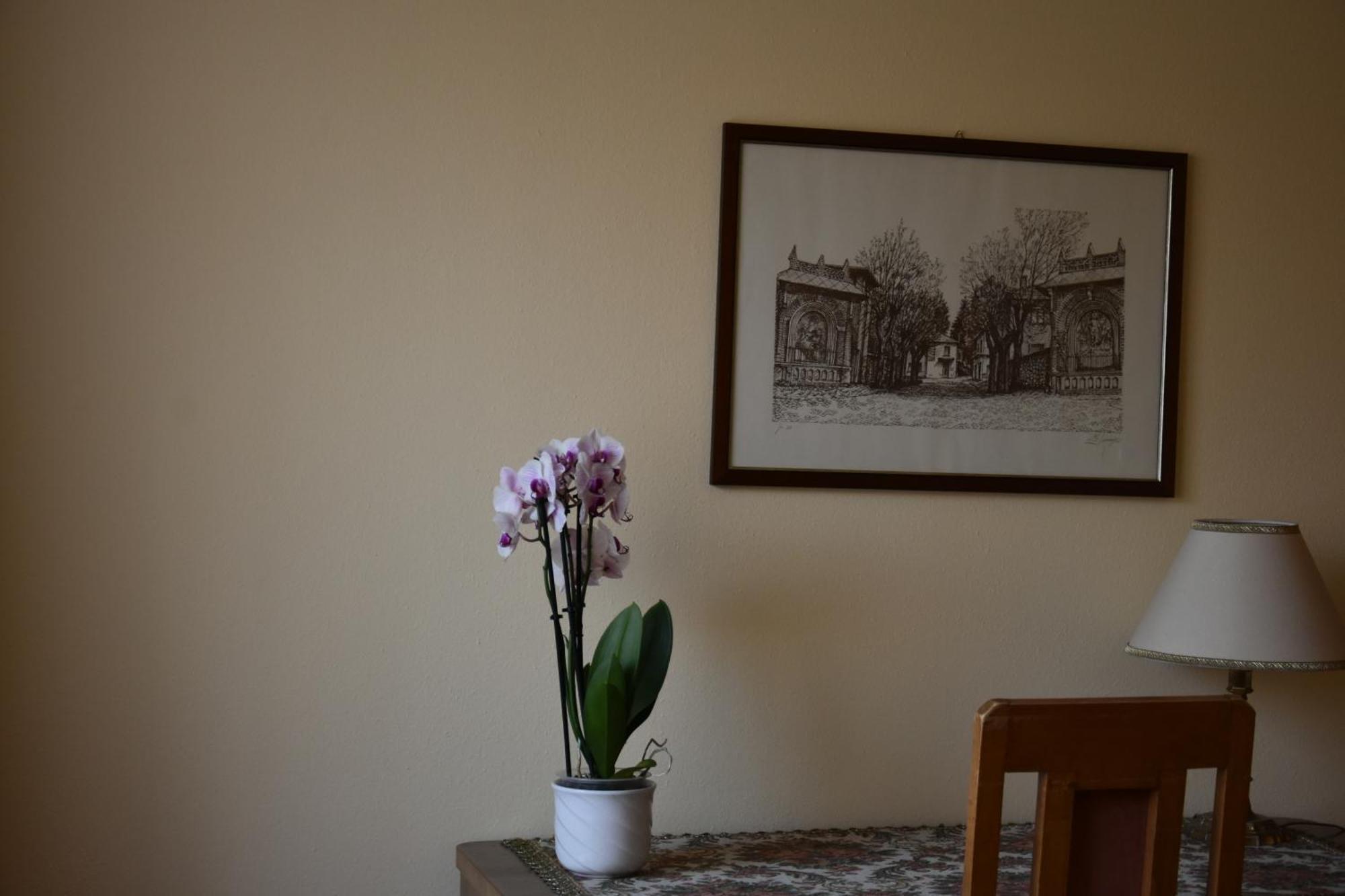 Casa Santa Birgitta Otel Lugano Dış mekan fotoğraf